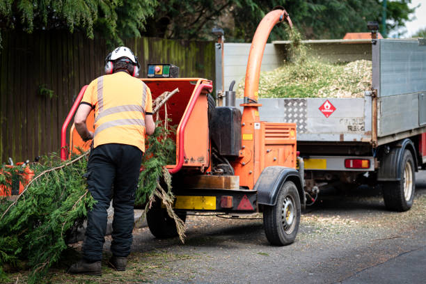 Grass Overseeding in Mont Clare, PA